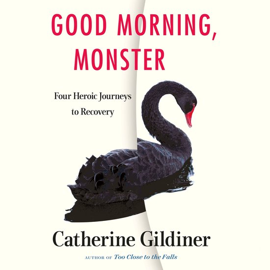 Good Morning, Monster - cover