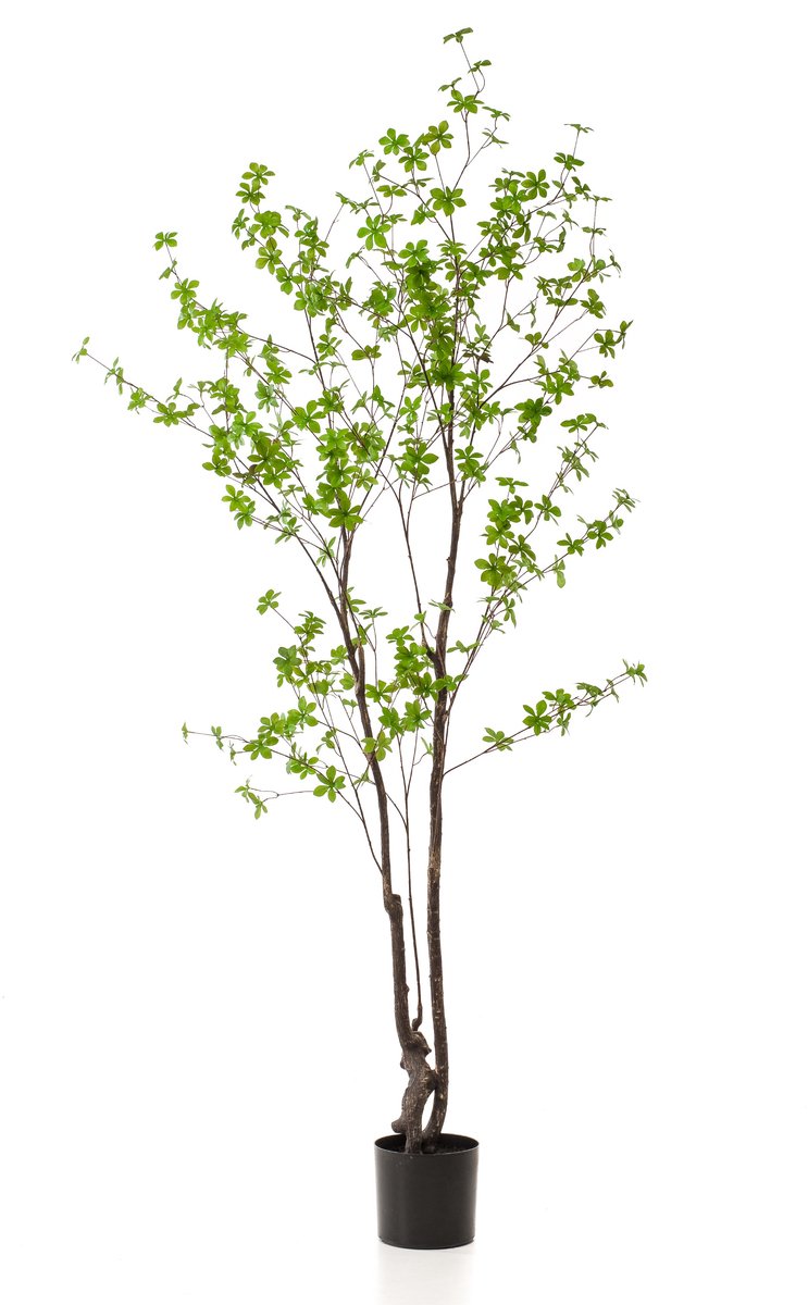 Emerald Kunstplant Tropaeolum Speciosum - realistische groene decoratie - 210 cm hoog
