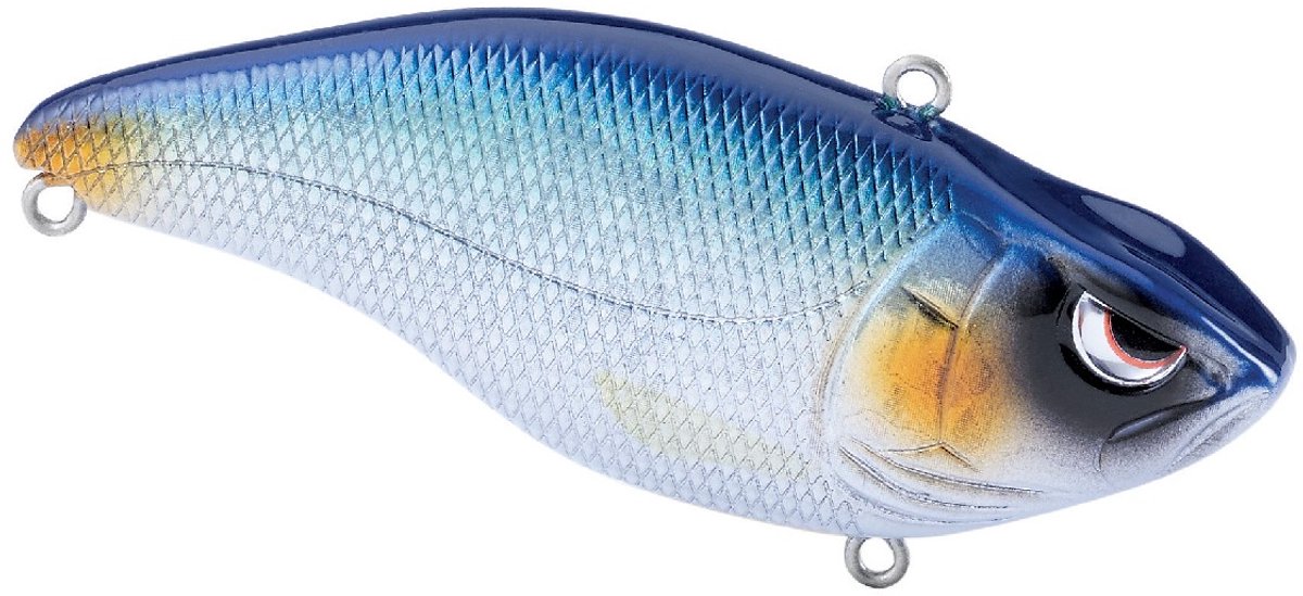 Spro Aruku Shad 75 Blue Shiner