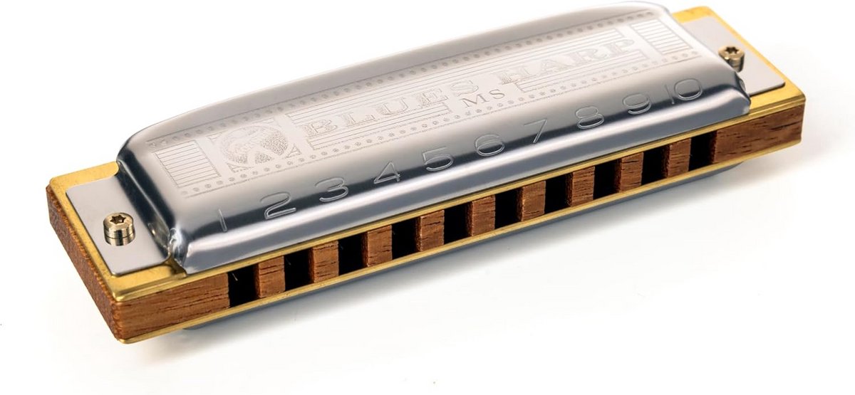 F# Diatonische Blues Harmonica - Rauwe Klank voor Folk, Rock en Blues
