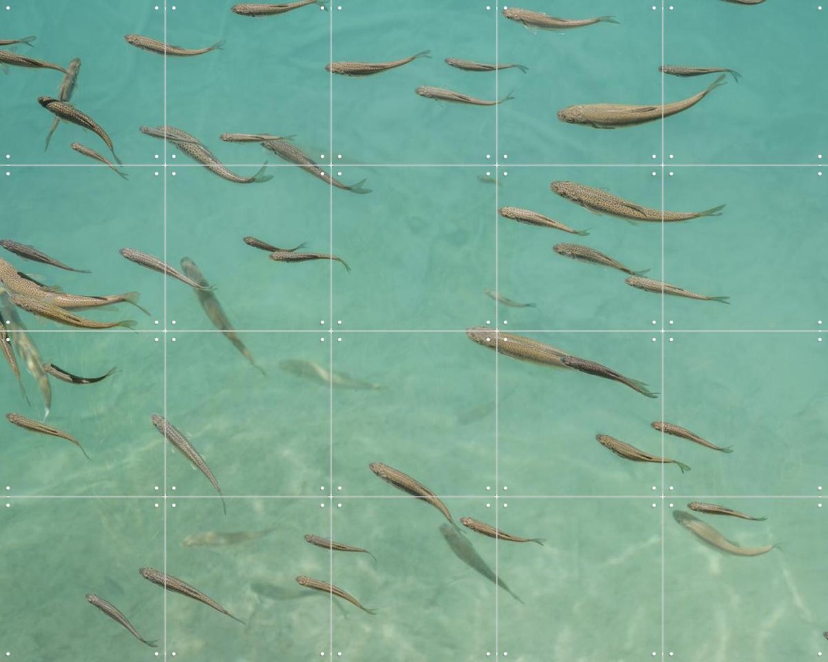 IXXI Fishing In China, Photolovers - 100 x 80 cm - Gratis ophangtool - Grote wanddecoratie en posters - Naturalisme, Fotografie, Realisme, Woonkamer