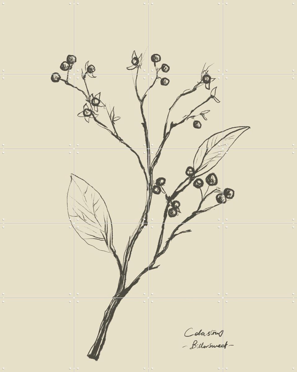 IXXI Floral 2, Dan Hobday & Various - 80 x 100 cm - Gratis ophangtool - Grote wanddecoratie en posters - Line art, Tekeningen, Minimalisme