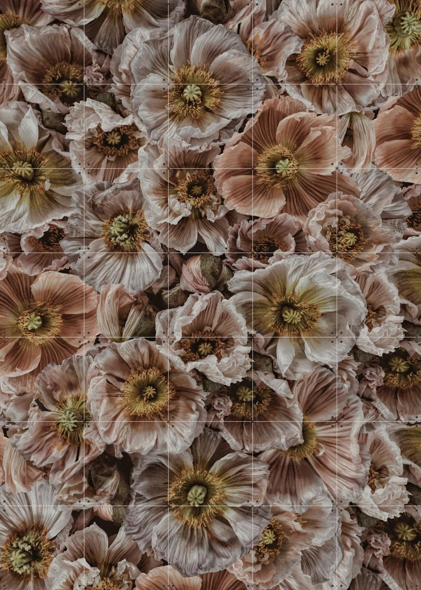 IXXI Wild Poppies, STUDIO HANNAH LEMHOLT - 100 x 140 cm - Gratis ophangtool - Grote wanddecoratie en posters Bloemen, Winter, Natuur