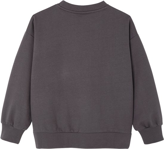 Donkergrijze sweater, achterkant.
