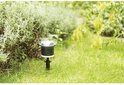 Netatmo regenmeter in een groene tuin met gras en planten. De meter is zwart met een doorzichtige bovenkant.