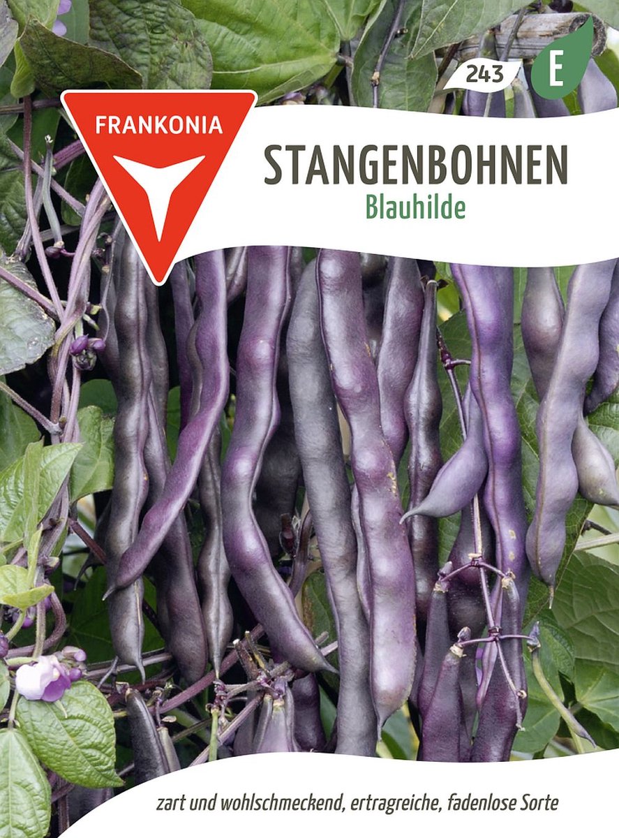 Stokboon, Blauhilde - Bonenzaden, groentezaden, zaadgoed, zaden
