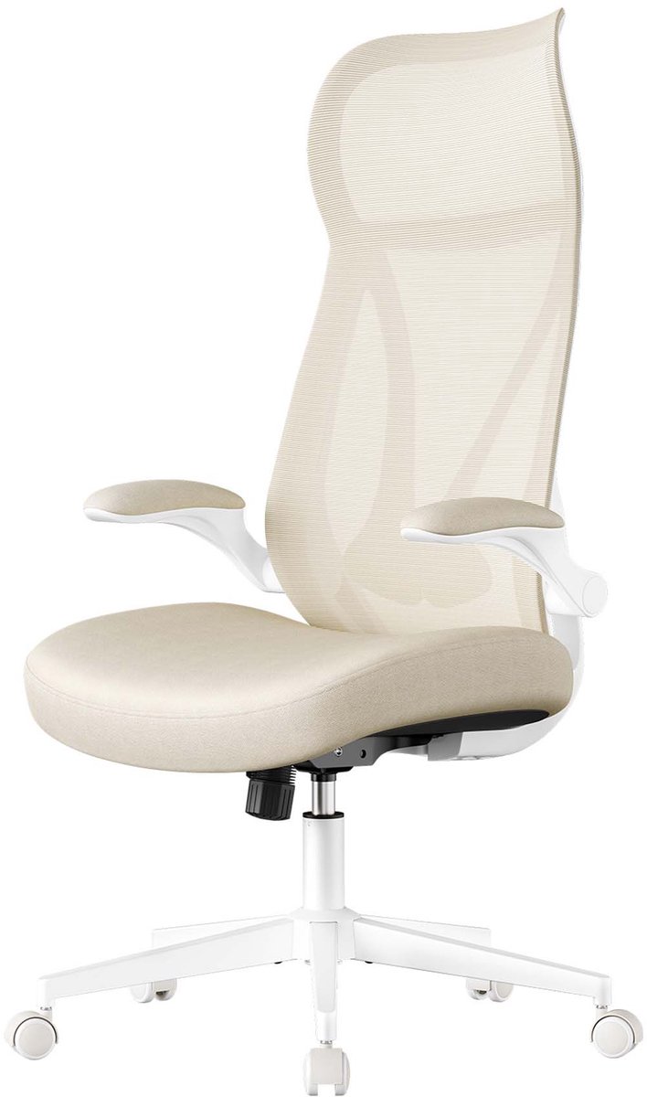 EUZIEL Ergonomische Bureaustoel met Hoofdsteun en Opklapbare Armleuningen - EUZIEL International - €103,60
