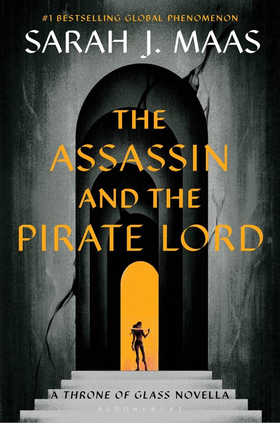 The Assassin and the Pirate Lord - cover