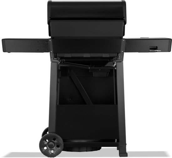 Napoleon Freestyle Pro 365 ir-side black LPG van Merkloos — afbeelding 4