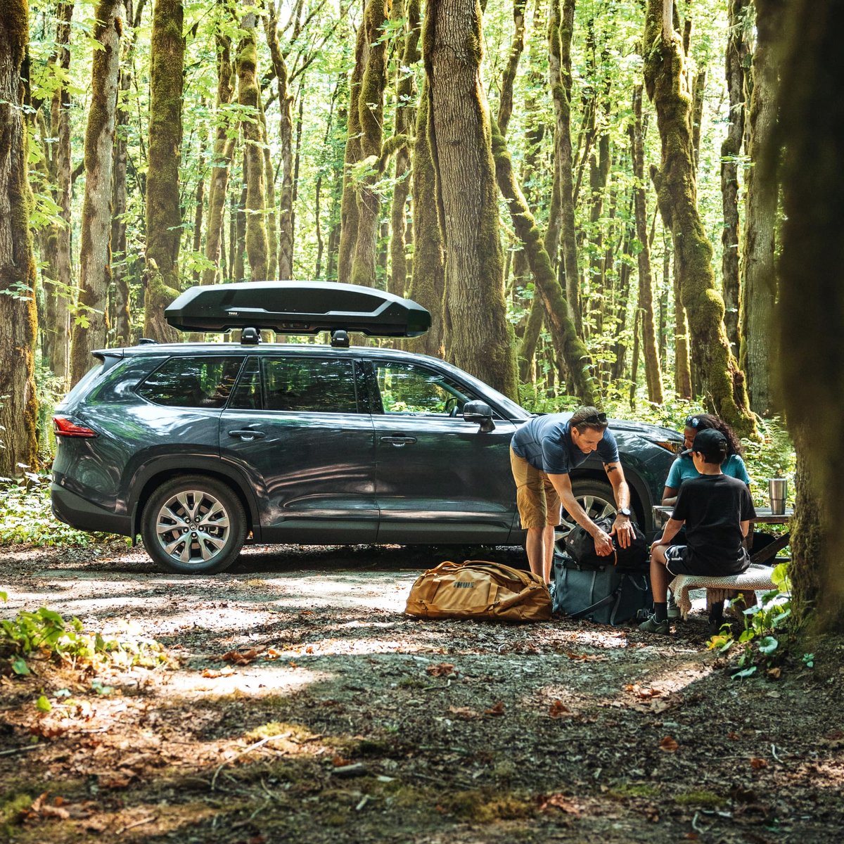 Thule Force 3 XXL Sport - Dakkoffer - 2 zijden te openen - 75kg laadvermogen – 450 L inhoud – foto 8