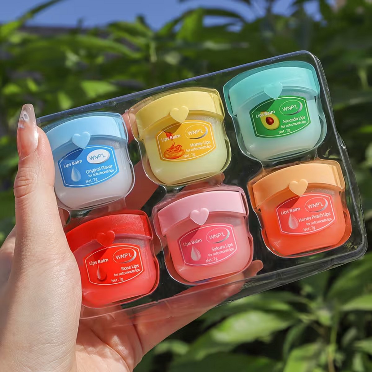 Lippenbalsem Set 6 Stuks – Hydraterende en Voedende Lipverzorging