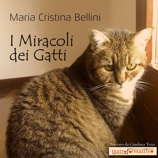 I miracoli dei gatti - cover