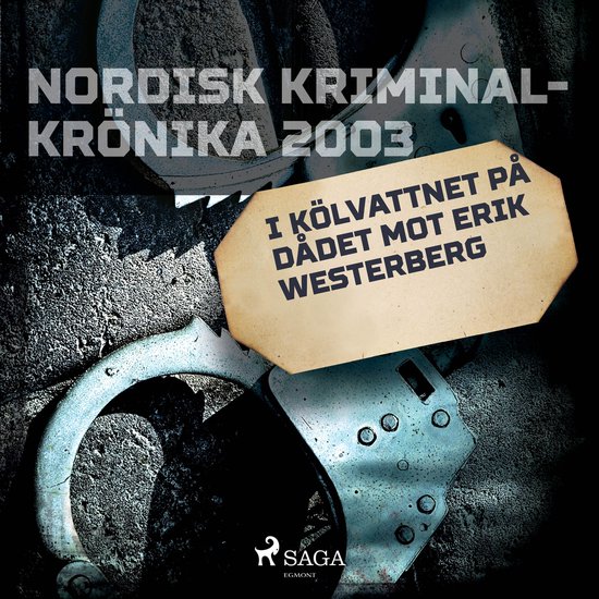 I kölvattnet på dådet mot Erik Westerberg - cover