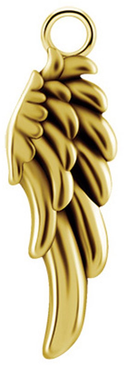 Crazy Needles - Charms - Gouden Vleugel - D-066