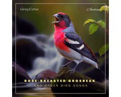 Rose-breasted Grosbeak and Other Bird Songs