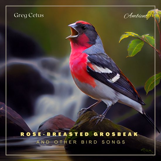 Rose-breasted Grosbeak and Other Bird Songs - cover