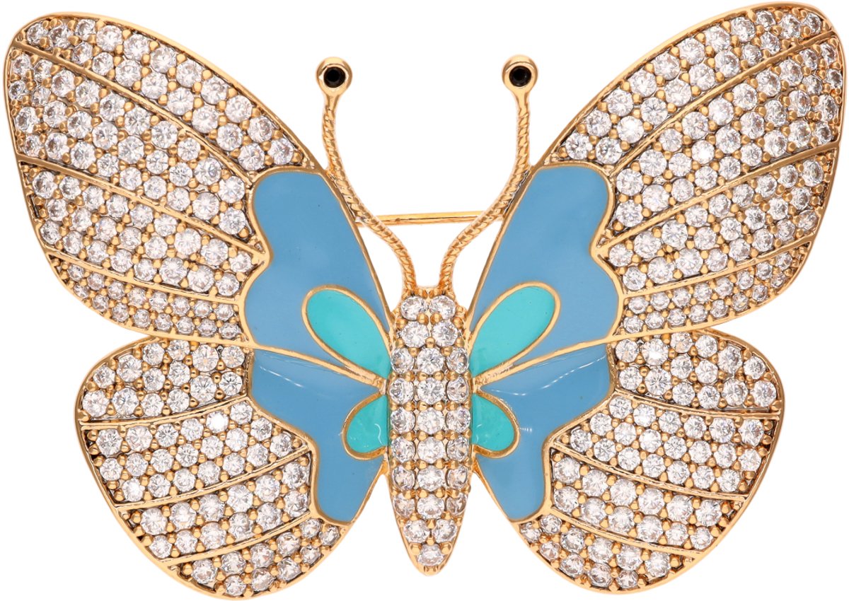 NAEMI Broche