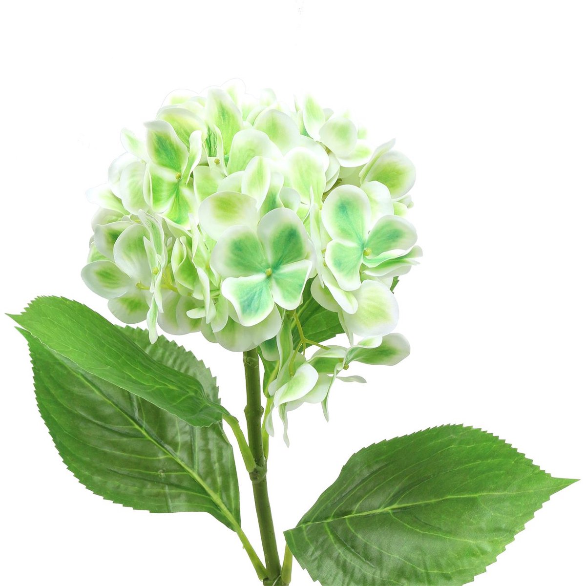 Hortensia kunstgroen, wit 68cm