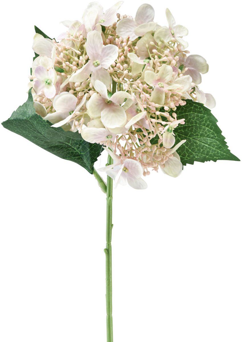 Viana Hortensia kunstcreme tuinbloem met knoppen 52cm Beige