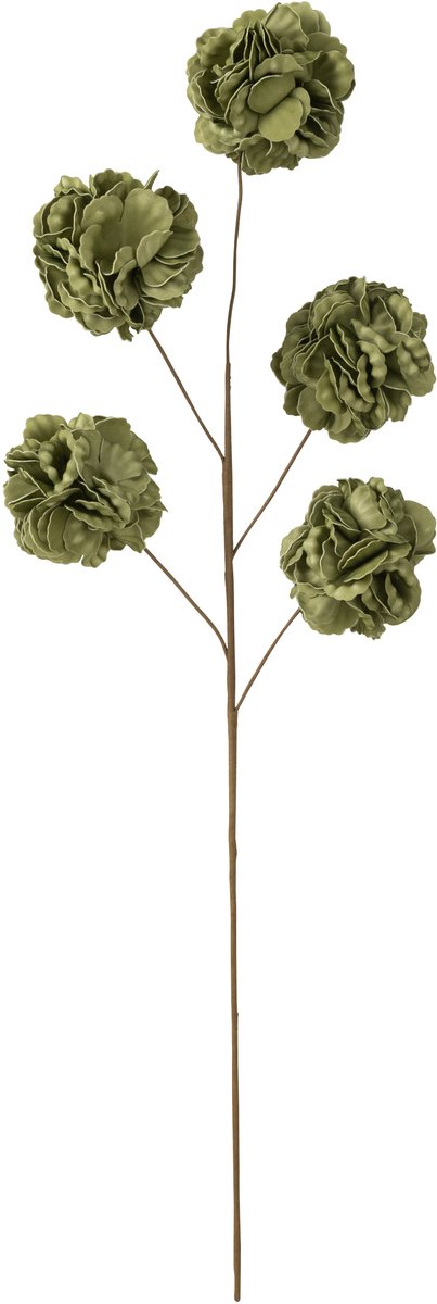 J-Line bloem tak 5 pompoms Eva - kunststof - groen