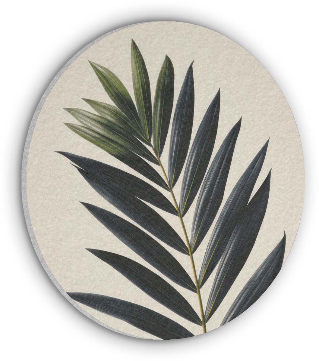 Akoestisch wandpaneel rond 30x30 cm - Vilt schilderij Palmblad - Donkere bladen - Subtiel - Ronde akoestische panelen - Geluidsdempende wanddecoratie - Geluidsisolatie wandcirkel - Muurdecoratie geluidspanelen