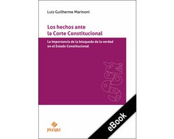 Los hechos ante la Corte Constitucional