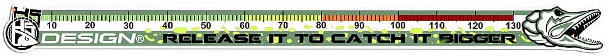Hotspot Design Sticker - Pike Measurement - 156X13cm