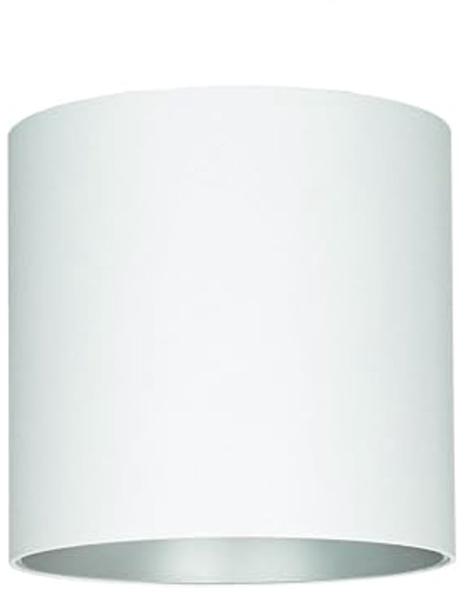 XL opbouwspot metaal wit-zilver 12,7cm voor hal keuken woonkamer plafondlamp