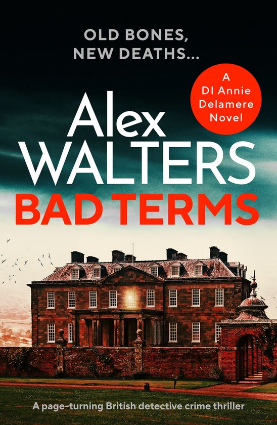 Detective Annie Delamere 3 - Bad Terms - cover