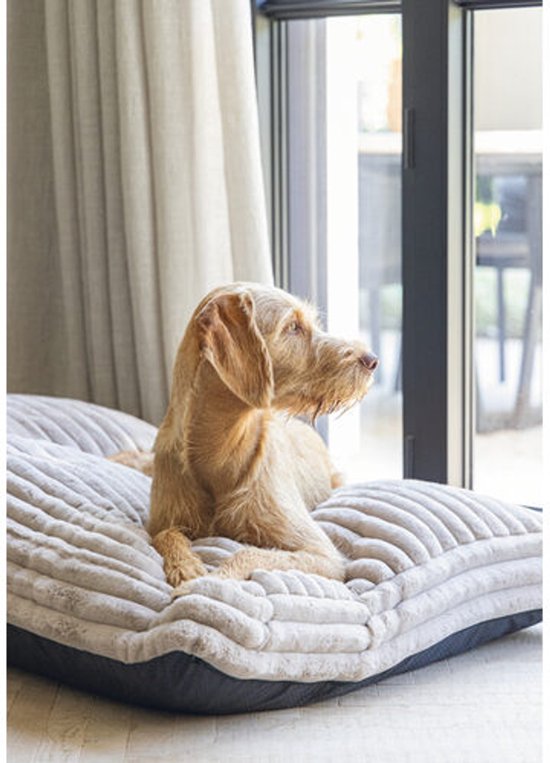 Een lichtbruine hond ligt op een grijs, ribbed hondenkussen bij een raam.