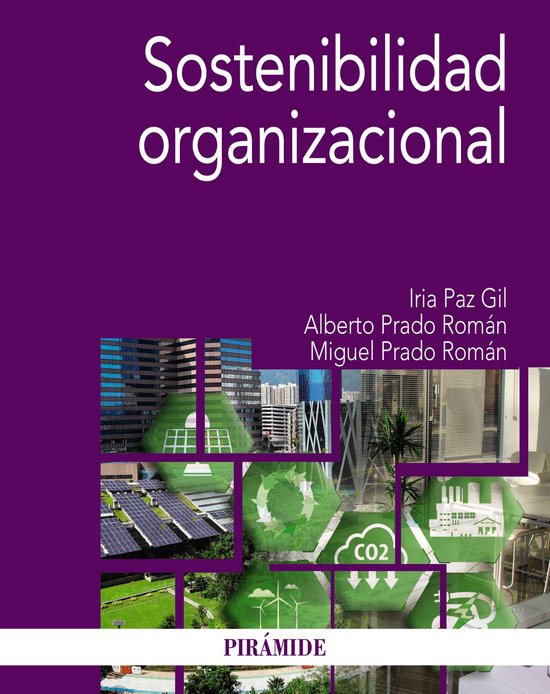 Economía y Empresa - Sostenibilidad organizacional - cover