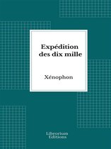 livre numérique