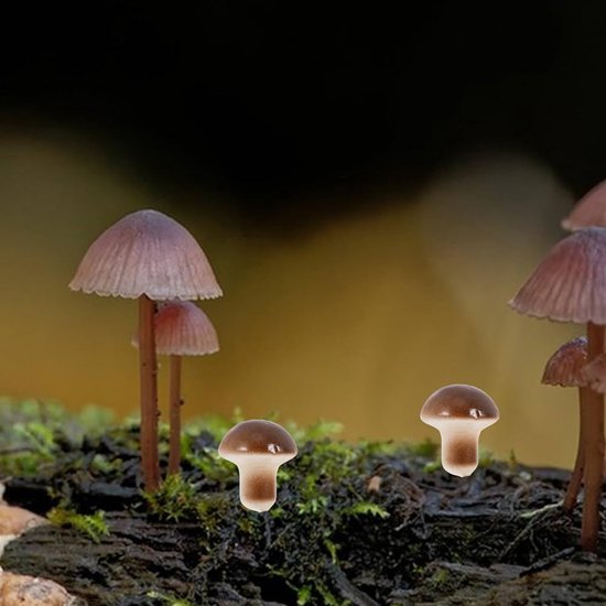 Ze zien eruit als speelgoedhuizen aan de buitenkant, maar de binnenkant