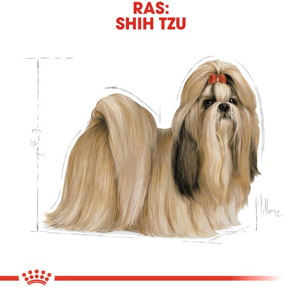 Illustratie van een Shih Tzu hond met lange, beige vacht en rode strik.