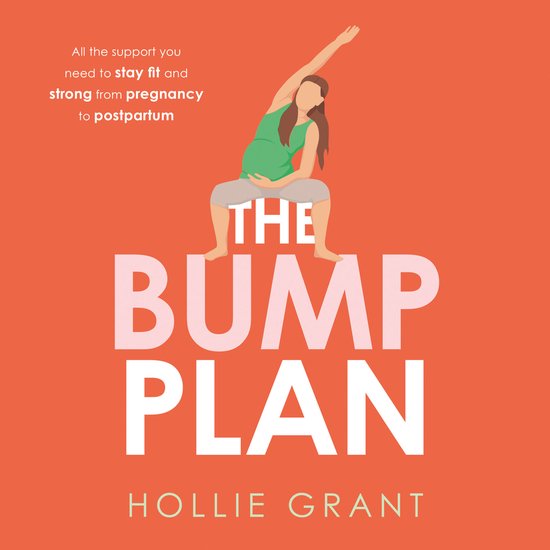 The Bump Plan - cover
