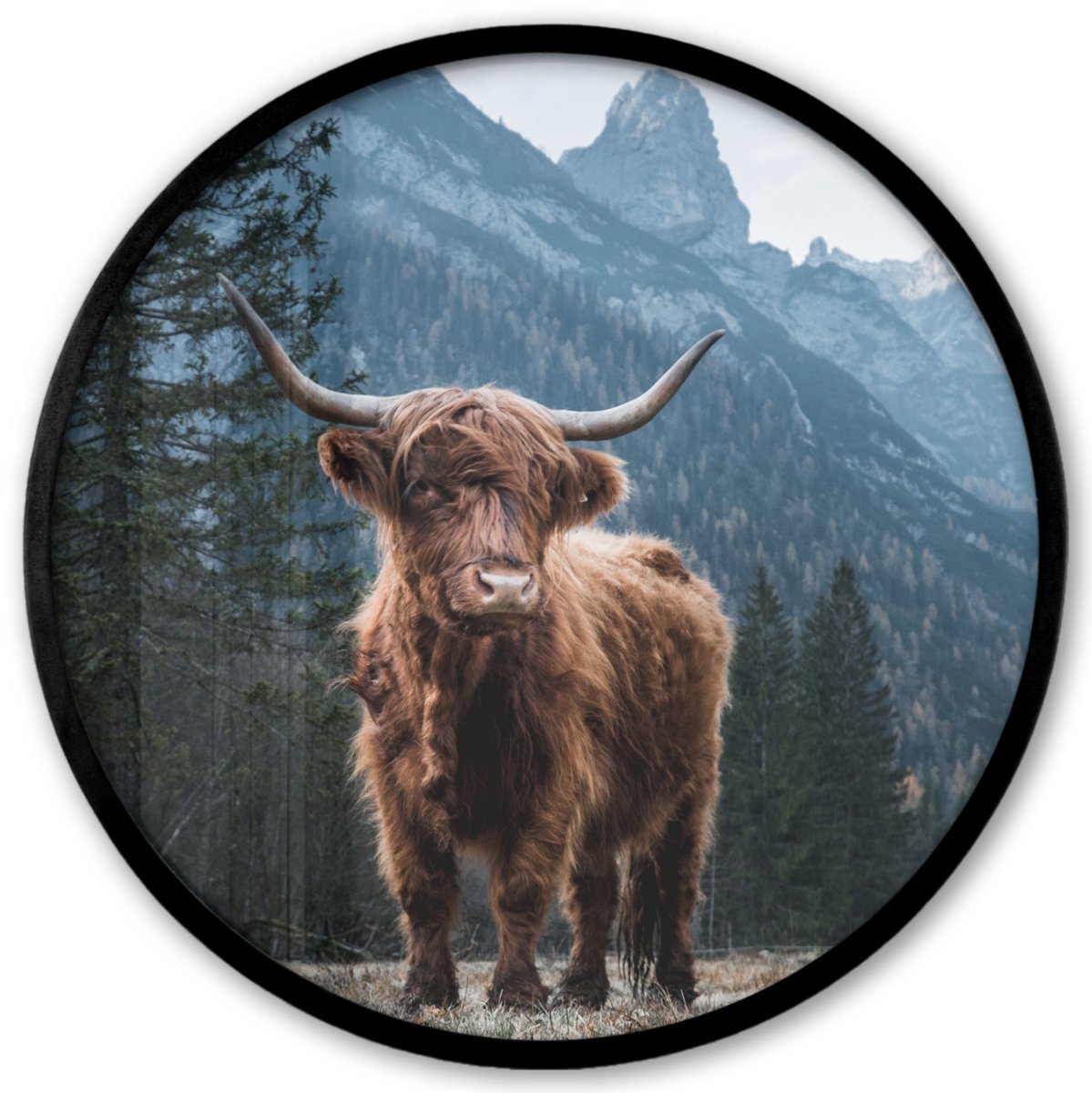 FrameYourWall Poster in lijst Rond - Fotolijst 40x40 cm - Posters - Schotse hooglander - Berg - Landschap - Bomen - Koe - Natuur - Ronde posterlijst zwart - Decoratie - Wanddecoratie woonkamer - Muurdecoratie slaapkamer Schotse hooglander - Natuur