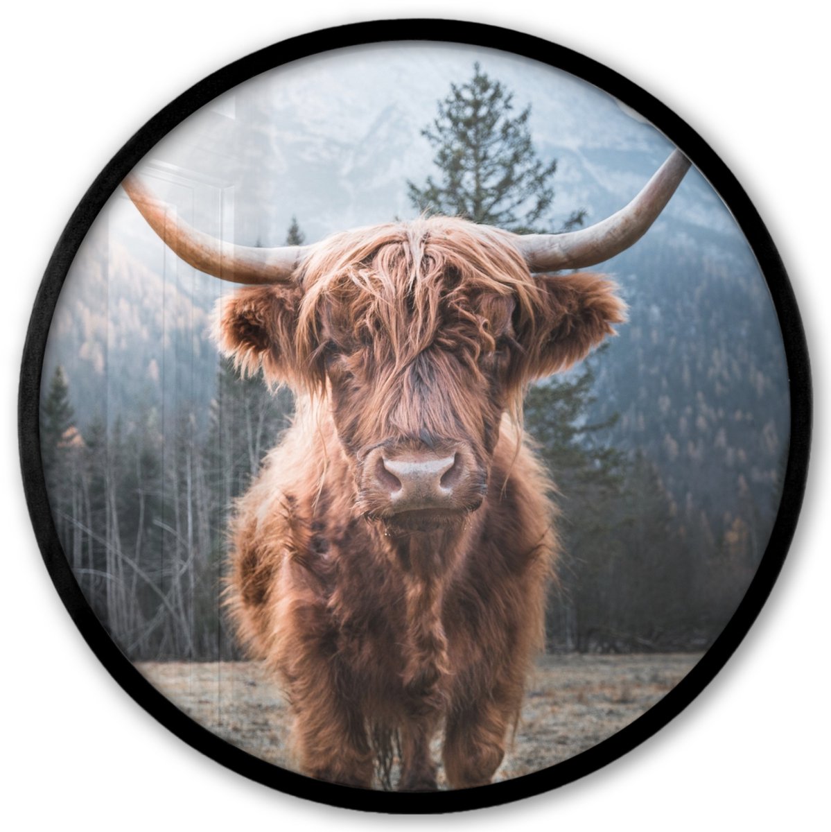FrameYourWall Poster in lijst Rond - Fotolijst 40x40 cm - Posters - Schotse hooglander - Koe - Dieren - Berg - Natuur - Ronde posterlijst zwart - Decoratie - Wanddecoratie woonkamer - Muurdecoratie slaapkamer Schotse Hooglander - Bergen