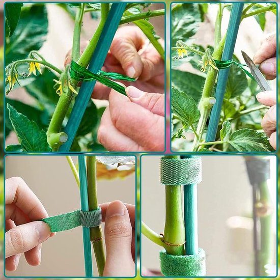 Close-up van handen die planten aan groene stokken vastmaken met metalen binddraad en klittenband.