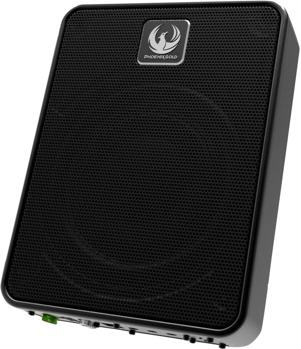 Phoenix Gold ZB8P actieve underseat subwoofer 8 inch 300 watts RMS Auto subwoofer