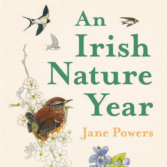 An Irish Nature Year - cover