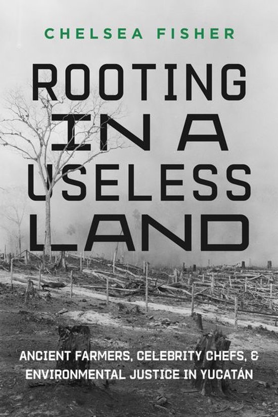 Rooting in a Useless Land - cover