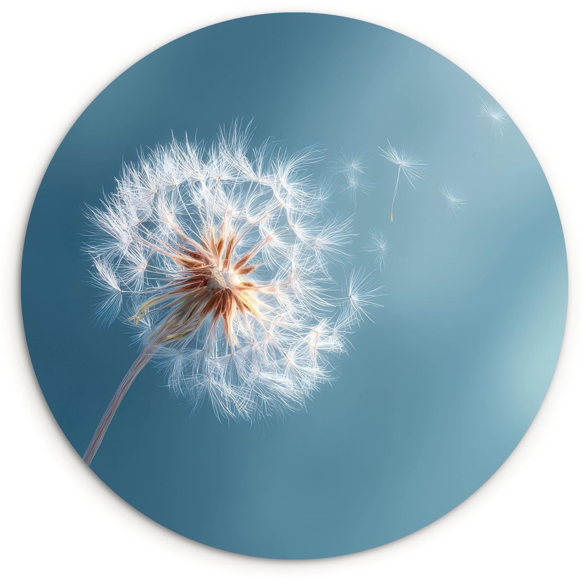 WallCircle Wandcirkel 60x60 cm - Muurcirkel Paardenbloem - Wind - Blauw - Muurdecoratie woonkamer - Wanddecoratie slaapkamer - Kamer decoratie accessoires - Ronde schilderijen