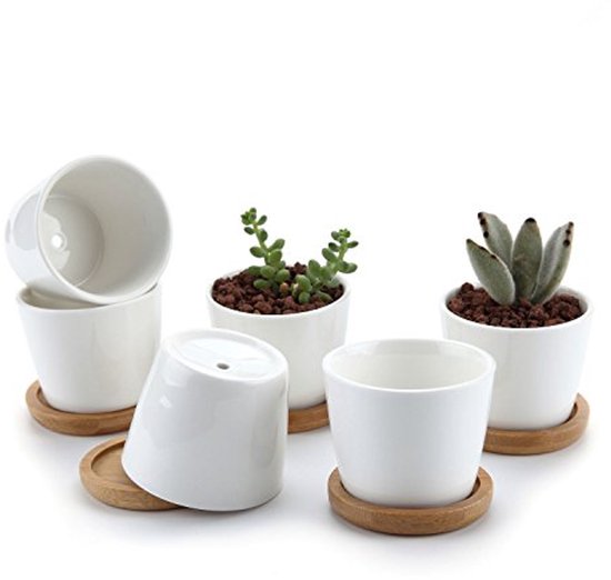 Leuke Otoboke Dier Indoor DIY Mini Bonsai Planten met Keramische Kat Hond Bloempot Klaverzaden voor Kantoor Desktop Decoratie