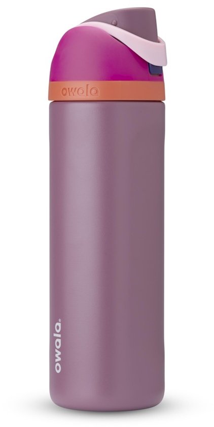 4 stuks vervangende roestvrijstalen rietjes compatibel met Owala waterfles 24 oz 32 oz herbruikbare rietjes met 2 reinigingsborstels metalen rietje vervanging compatibel met Owala Freesip (21 cm voor