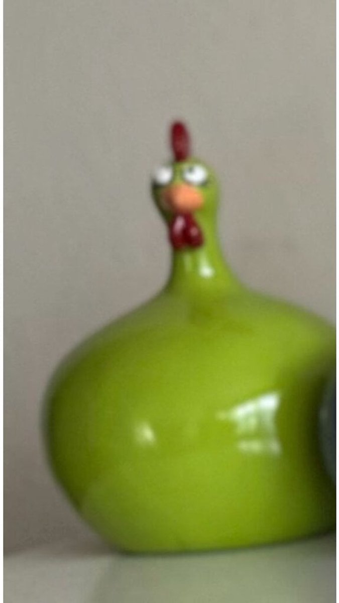 Kip dik S 25 cm