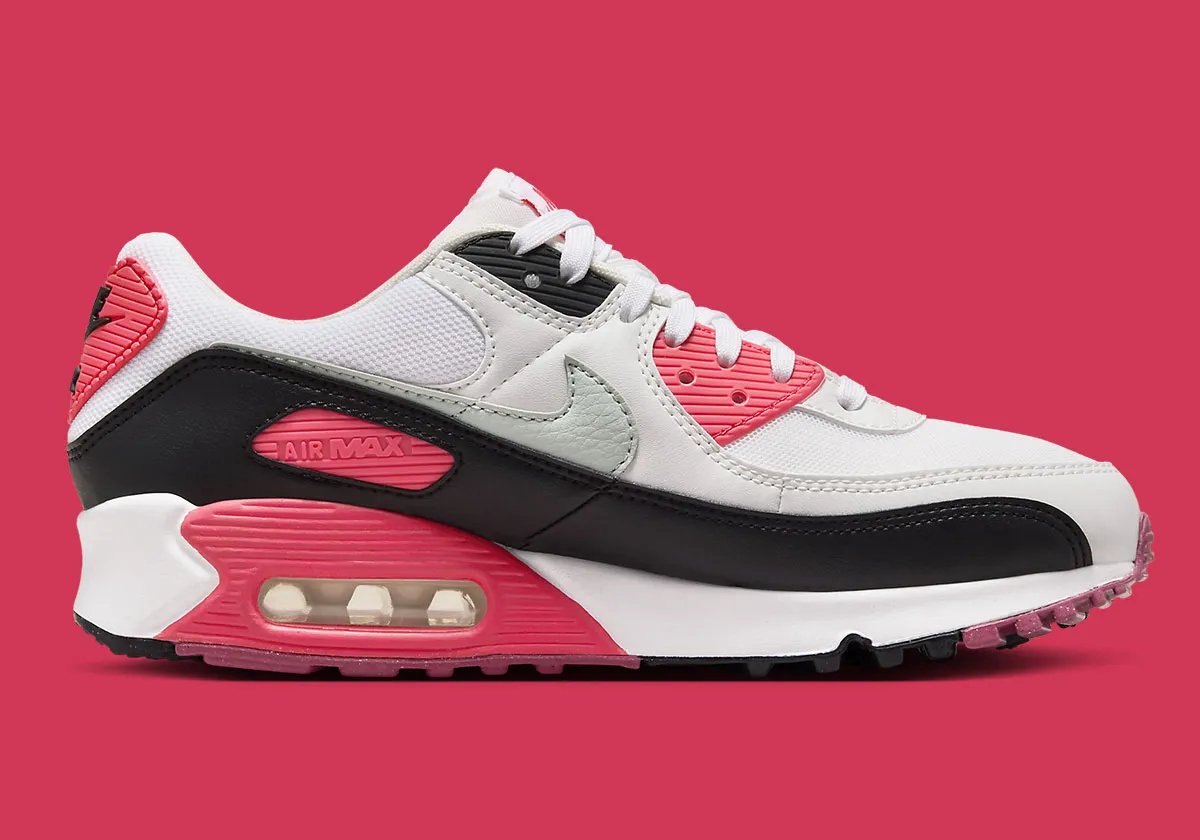 Nike Nike Air Max 90 Wmns “”Aster “” Sneakers Dames Zilver