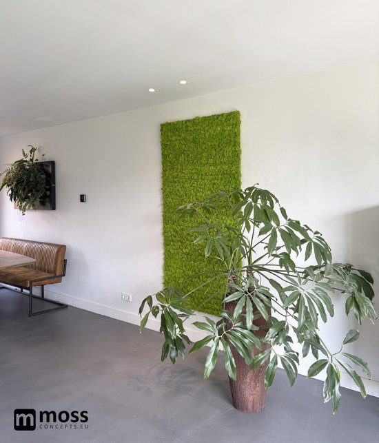 MOSS concepts Moswand paneel rendiermos springgroen