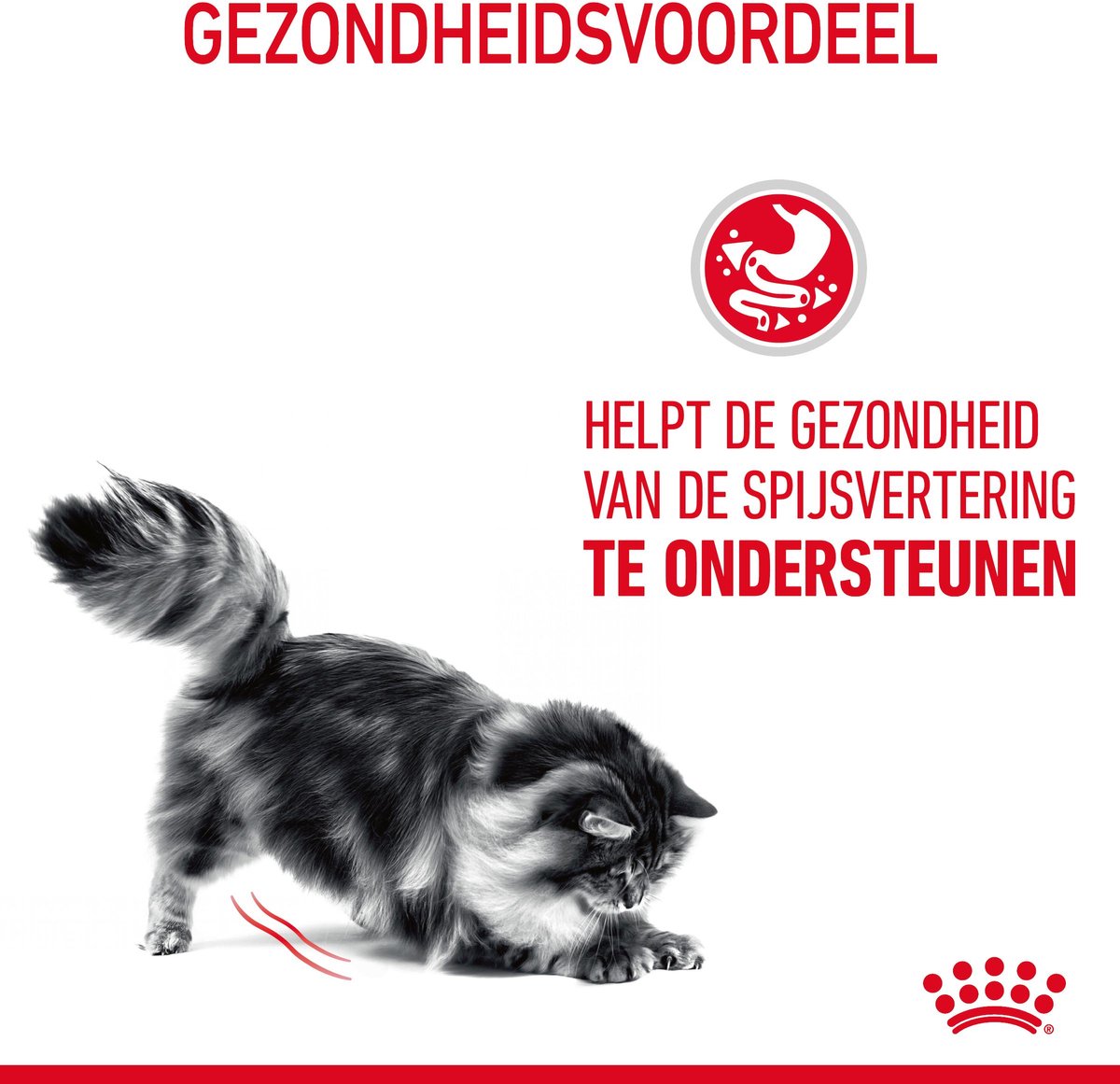 Royal Canin Digestive Care - 4 kg - Kattenvoer thumbnail 7