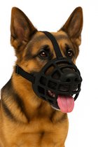 Poot Van Een Rottweiler-hond Stock Foto - Image of snuit, puppy: 7064758