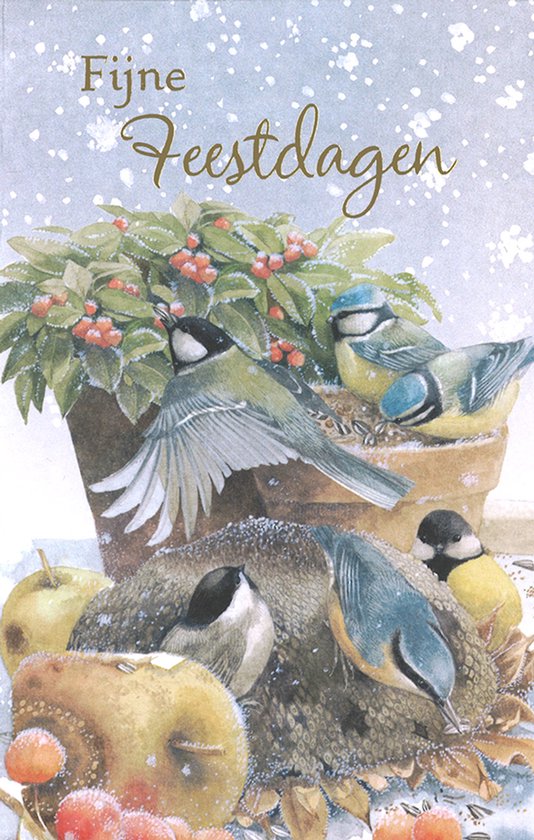 Fijne Feestdagen kaart met winterse vogels, rode bessen en appels. Geschreven door Marjolein Bastin.